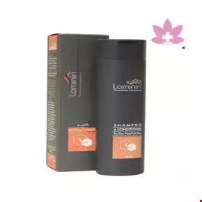 Laminin Anti Frizz 2 in 1 200ml Shampoo
