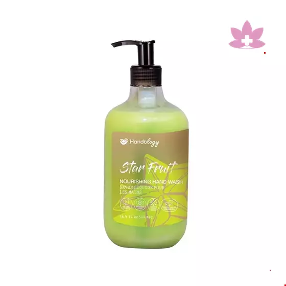 Handology Hand Wash Creamy Star Fruit Scent 500ml