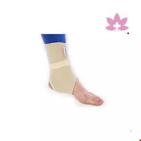 Teb & Sanat Ankle support  code 11400